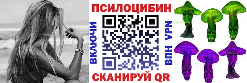 цены наркотик  Гурьевск  Псилоцибиновые грибы Magic Shrooms 