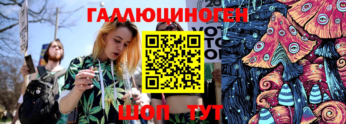 Гурьевск  Галлюциногенные грибы прущие грибы  Вход с VPN 